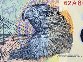 Eagle head from Romanian money photo