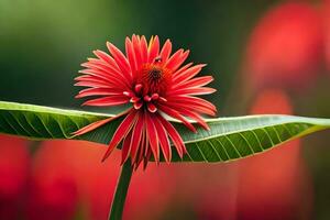 a red flower is sitting on a leaf. AI-Generated photo