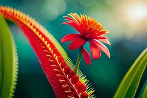 a red flower is in the foreground of a green plant. AI-Generated photo