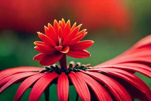 a red flower with a yellow center. AI-Generated photo