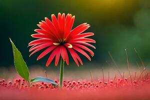 un rojo flor es en pie en el medio de un campo. generado por ai foto