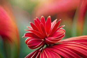 un rojo flor con un amarillo centrar es mostrado. generado por ai foto