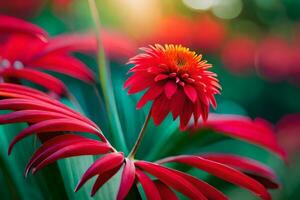 red flower with bright sunlight in the background. AI-Generated photo