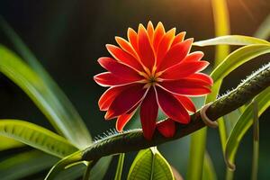 un rojo flor es en un rama con el Dom brillante. generado por ai foto