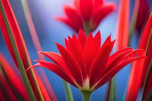 red flower photograph - red flower fine art print. AI-Generated photo