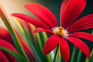 red flower, red flower, red flower, red flower, red flower, red flower, red. AI-Generated photo