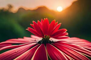 red flower with sun setting in background. AI-Generated photo