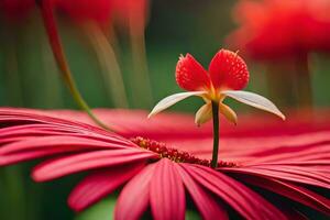 a red flower with a white flower on top. AI-Generated photo