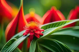 a red flower is sitting on top of green leaves. AI-Generated photo