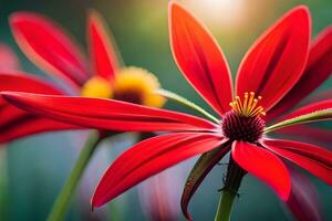 red flowers with bright sunlight shining through them. AI-Generated photo