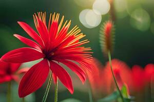 red flower on the grass with sunlight shining through. AI-Generated photo