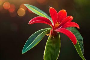 a red flower is shown in front of a blurry background. AI-Generated photo