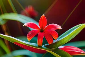 a red flower is growing on a green plant. AI-Generated photo