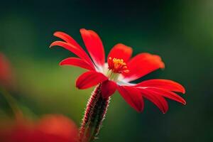 un rojo flor con un verde vástago en frente de un borroso antecedentes. generado por ai foto