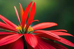 un rojo flor con un verde provenir. generado por ai foto