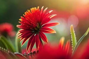 rojo flor con Dom brillante mediante él. generado por ai foto