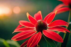 red flower with sun in background. AI-Generated photo