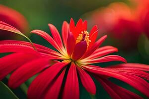 red flower with yellow center in the middle. AI-Generated photo