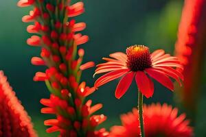 a red flower is in the foreground of a green field. AI-Generated photo