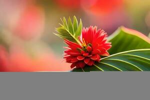 a red flower is sitting on a leaf. AI-Generated photo