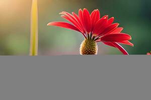 red flower with sun in background. AI-Generated photo