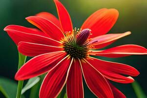 a red flower with a green stem. AI-Generated photo