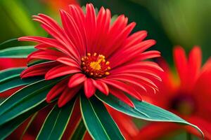 a red flower with green leaves in the background. AI-Generated photo