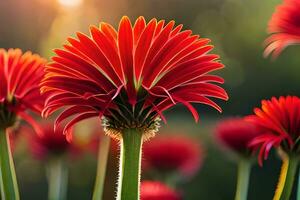 rojo flores con el Dom brillante mediante a ellos. generado por ai foto