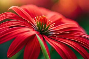 red flower photograph - red flower fine art print. AI-Generated photo