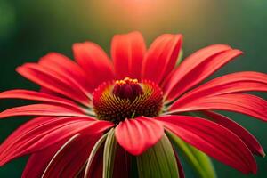 red flower with sun in background. AI-Generated photo