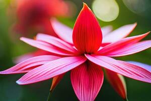 un rojo flor con un verde antecedentes. generado por ai foto