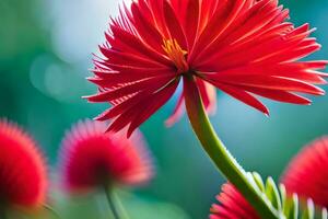 un rojo flor es mostrado en el primer plano. generado por ai foto