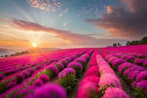 rosado flores en un campo a puesta de sol. generado por ai foto