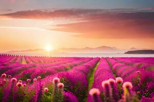 a field of purple flowers at sunset. AI-Generated photo