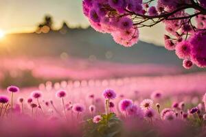 pink flowers in a field at sunset. AI-Generated photo