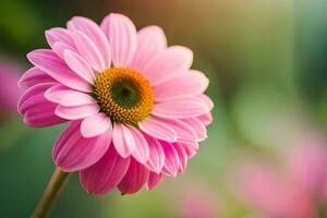a pink flower with a green center in front of blurred background. AI-Generated photo