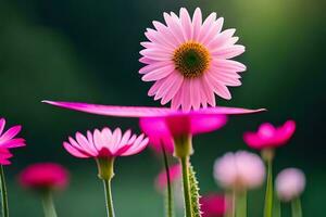 pink flowers are standing in the grass. AI-Generated photo