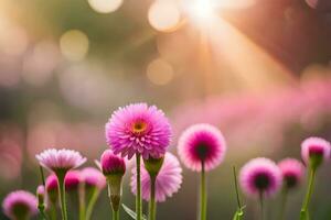 pink flowers in the sun with a blurry background. AI-Generated photo