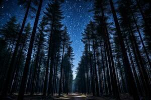 Majestic pine forest in night. Generative AI photo