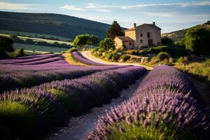 A road winding through a serene lavender field. Generative AI photo