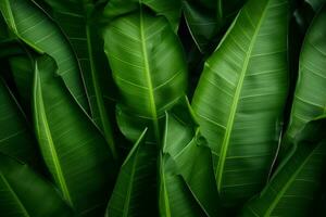 Banana Leaves Background. Generative AI photo