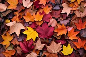 Colorful Leaves Creating Autumn Mosaic. Generative AI photo