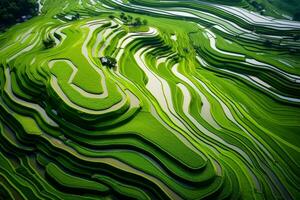 Rhythmic beauty of terraced paddy field patterns. Generative AI photo