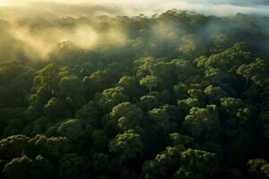 aéreo ver de iluminado por la mañana bosque pabellón. generativo ai foto