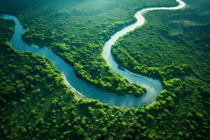 Aerial View of Meandering River in Lush Landscape. Generative AI photo