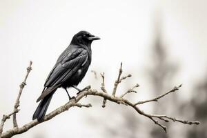 Black bird perched on a tree branch. Generative AI photo