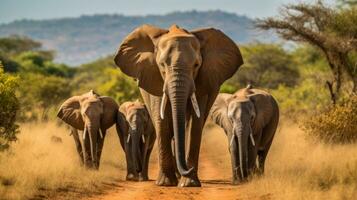 un manada de elefantes caminando abajo un suciedad la carretera. generativo ai foto