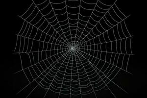 Spooky spiderweb isolated on dark Halloween decorations.. Generative AI photo