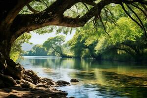 Tranquil riverbank framed by overhanging trees. Generative AI photo