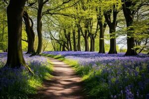 Tranquil Woodland with Blooming Bluebells. Generative AI photo